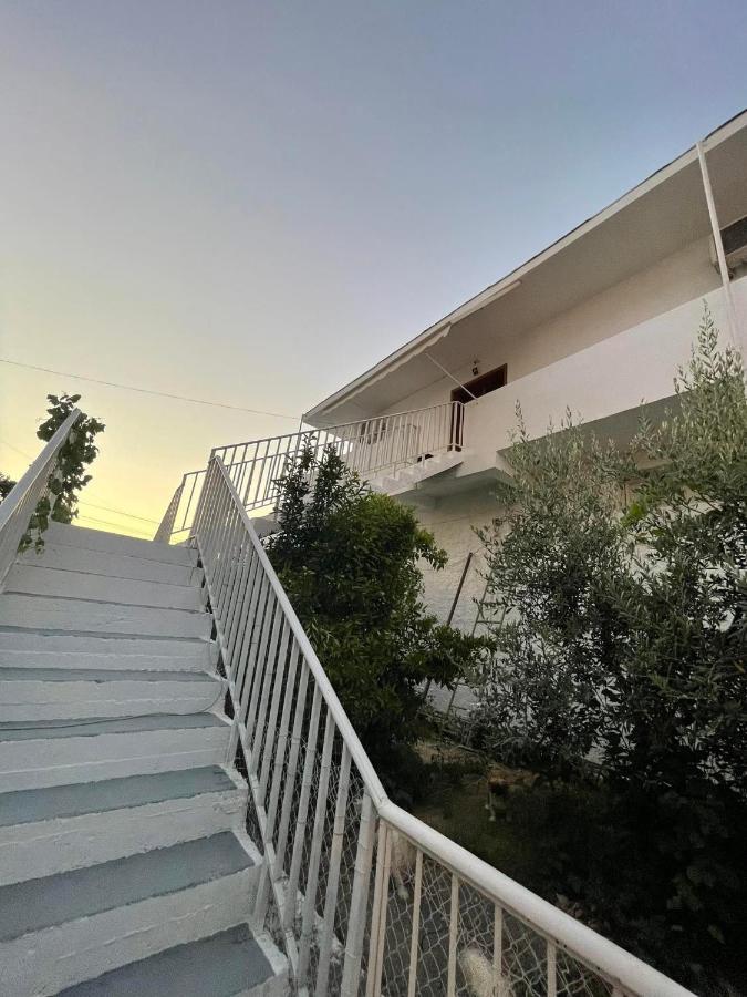 Villa Oasis Berat Dış mekan fotoğraf