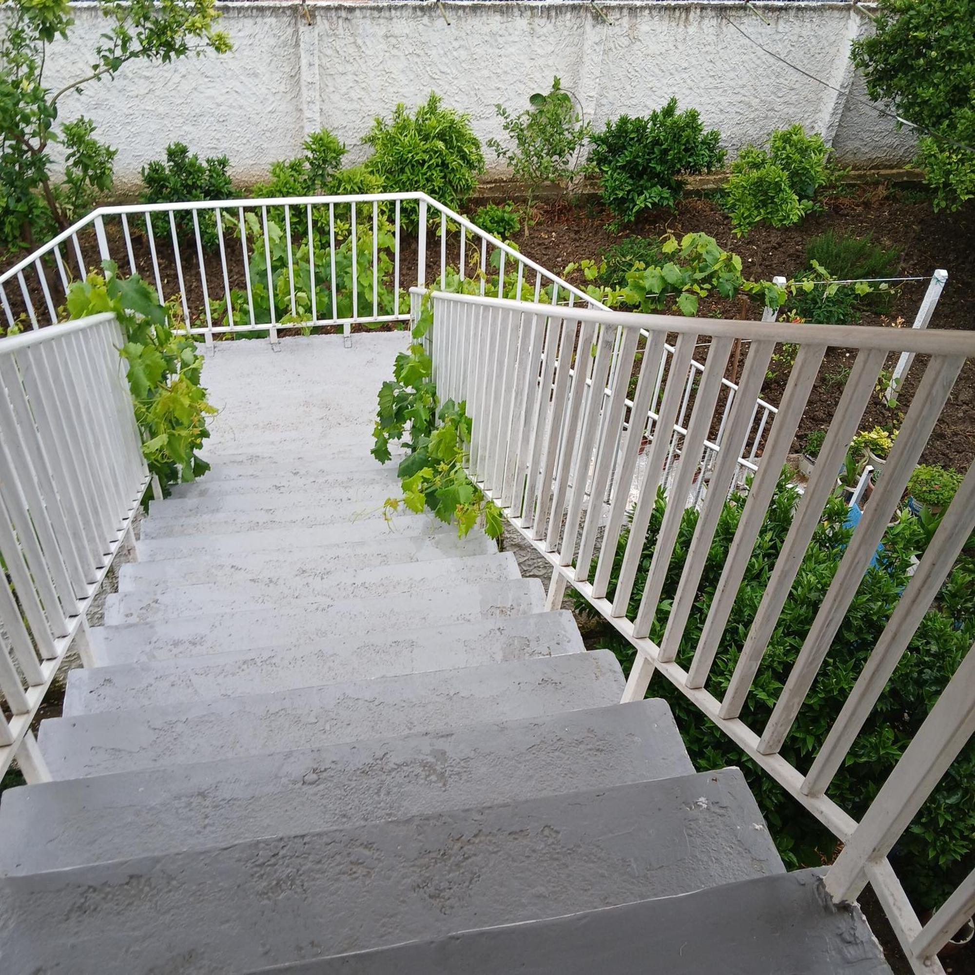 Villa Oasis Berat Dış mekan fotoğraf