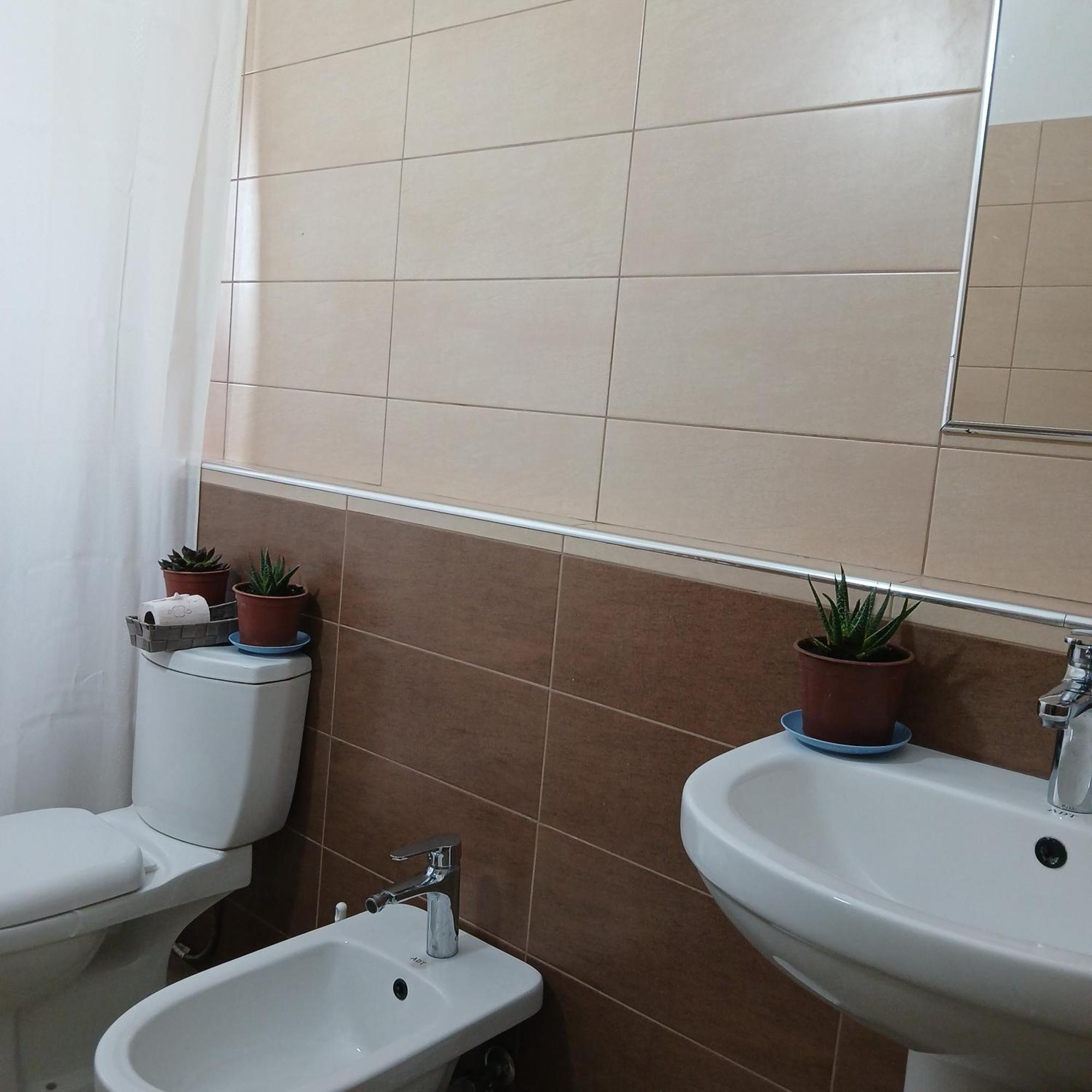 Villa Oasis Berat Oda fotoğraf